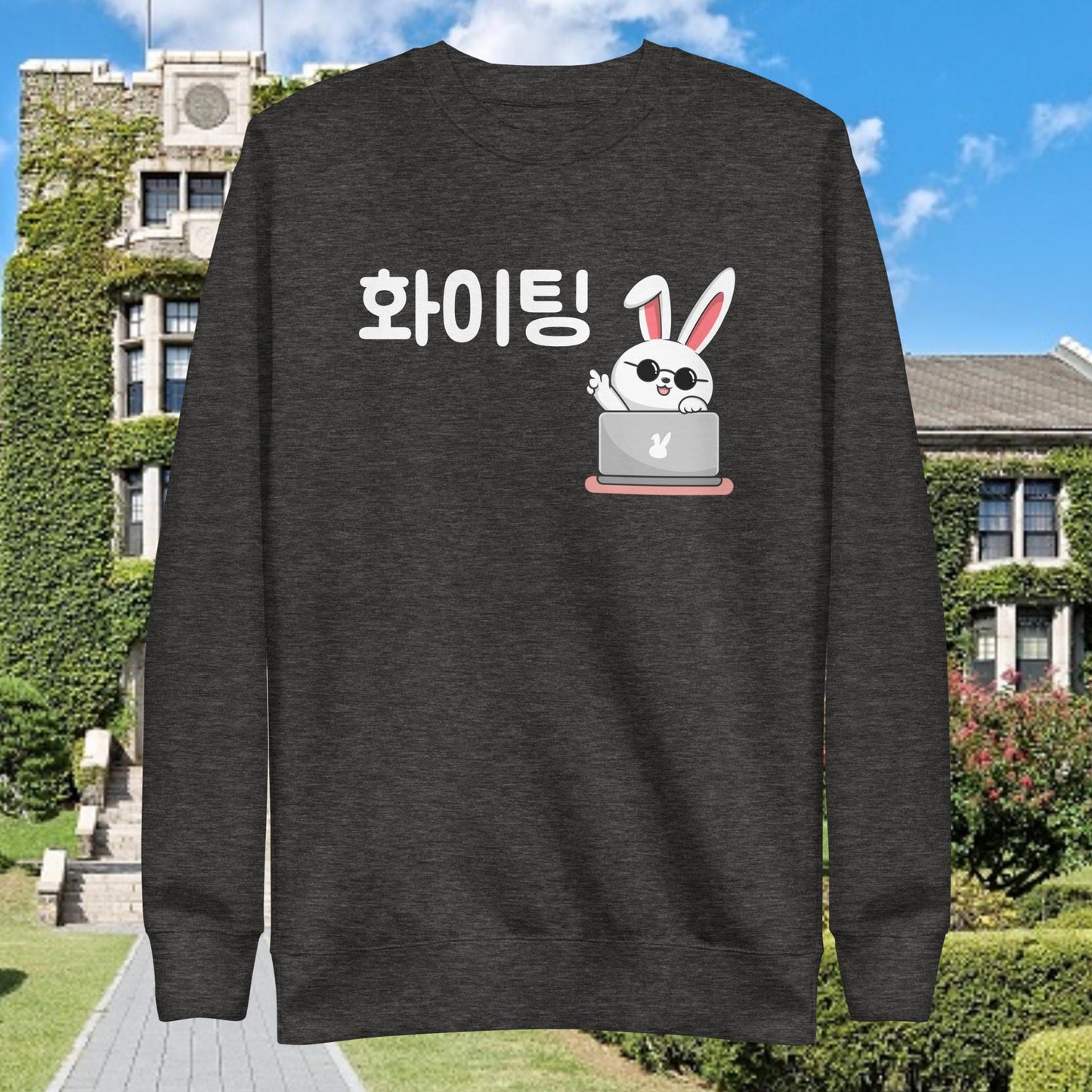 Working Bunny Hwaiting - Good Luck Sweatshirt