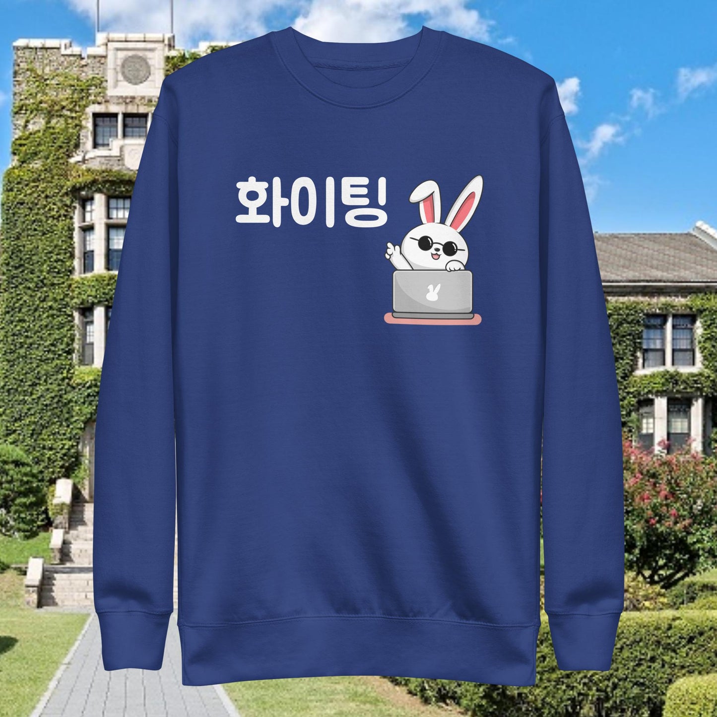 Working Bunny Hwaiting - Good Luck Sweatshirt