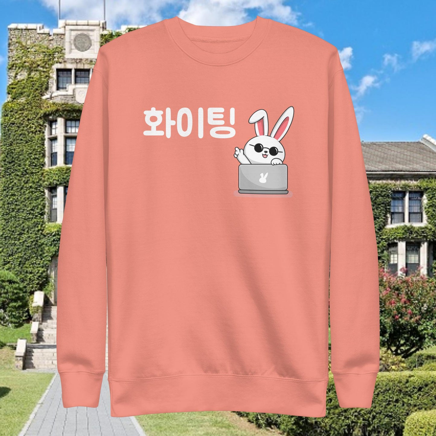 Working Bunny Hwaiting  - Good Luck Sweatshirt